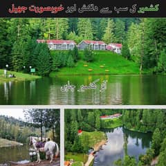 trip to kashmir