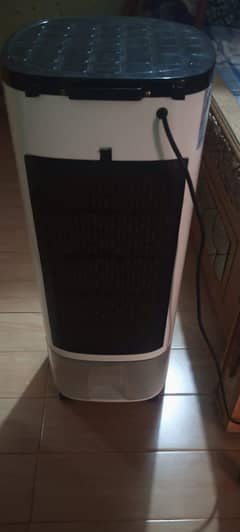 evaporative air cooler