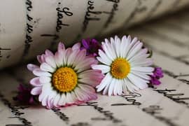 contant writting