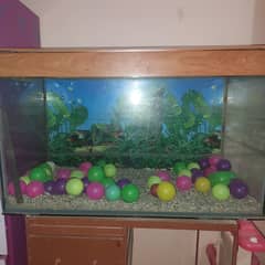 Aquarium with top cover