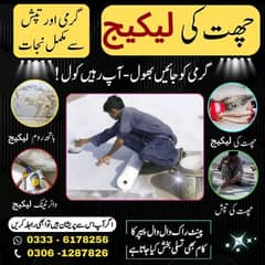 Roof Water&Heat Proofing Service  Leakage Treatment 03061287826