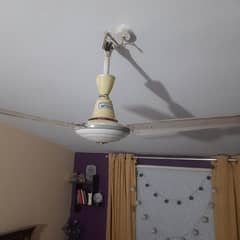 Sufi