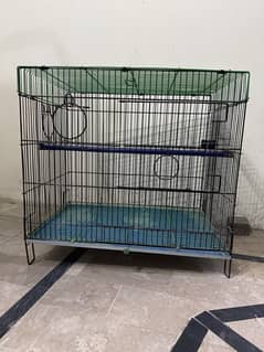 Parrots cage full size