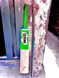 NeW BaT