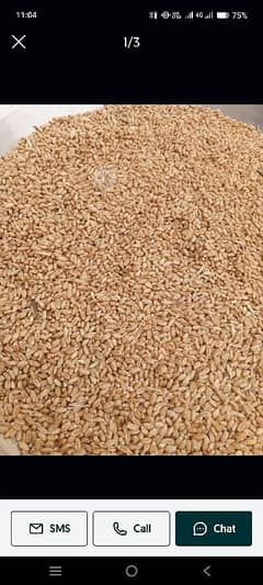 Gandam For Sale