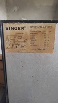 Singer