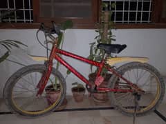 BICYCLE