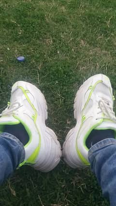 Keddo