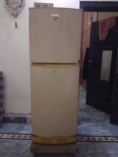 PEL Fridge