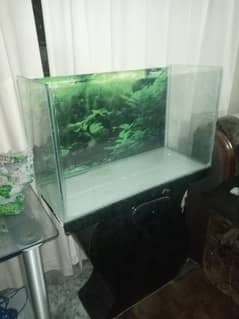 2.5Ft Fish Aquarium
