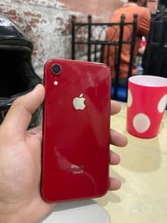 iPhone xr (exchange 11)