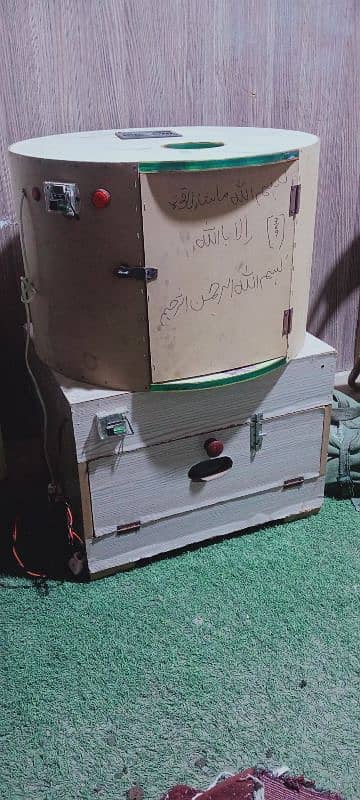 set of egg and chicks incubator in medium size 0