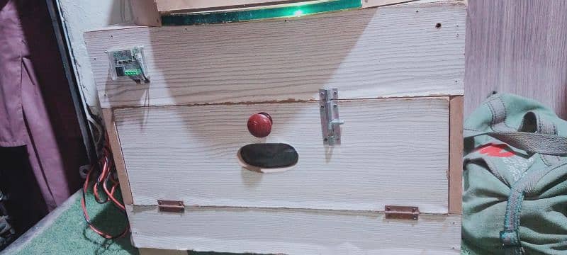 set of egg and chicks incubator in medium size 4