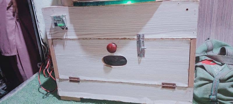 set of egg and chicks incubator in medium size 5