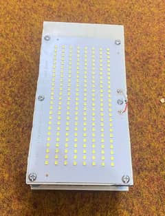 LED FOX LIGHT