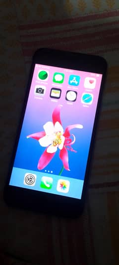 iphone 6
