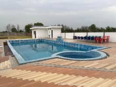 Farm House For Rent With Swimming Pool On Barki Road