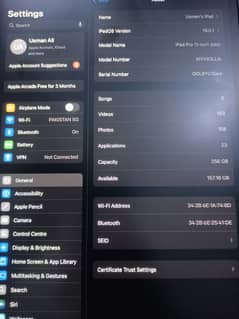 I pad pro m4 chip  2024