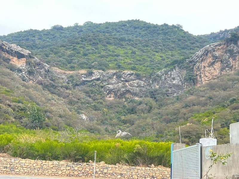 Best Location Near Round About Wow View Plot 8