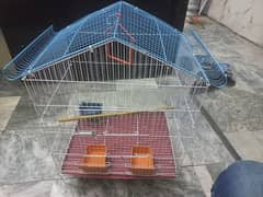 Parrot Cage