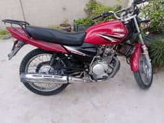 Yamaha