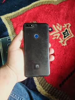Y7 prime