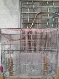 cage for birds