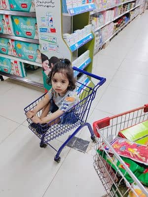 Nasreen Bibi