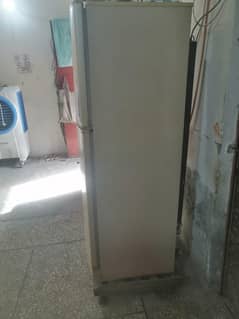 PEL Fridge