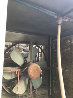Large size Cooler