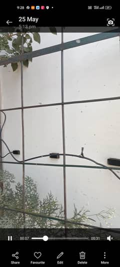 585w longi panel.