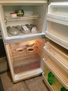 hair fridge