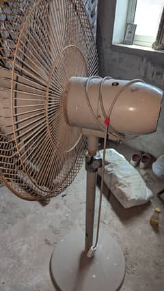 Pedestal fan for sale