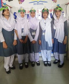 The smartest school system required female teaching,non teaching staff
