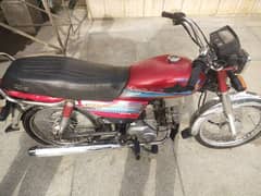 کوئی