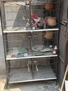 Cage