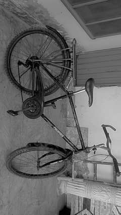 sport