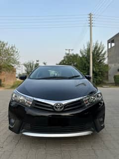 Gli automatic 2016/17