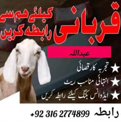 QASAI ( ONLY BAKRA CUTTING ) ZERO THREE 16 TOW 77 FOUR 899