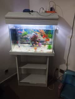 Beautiful Fish Aquariums For Sale