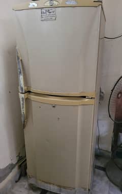 PEL