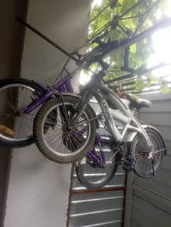 two cycles 16inch