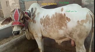 For sale