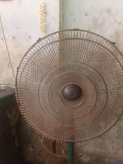fan
