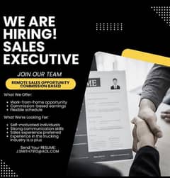 Hiring: Sales Executive (Work From Home)