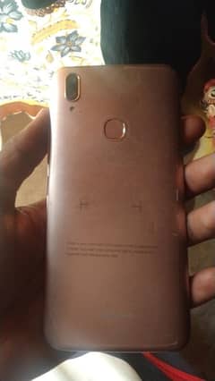 vivo