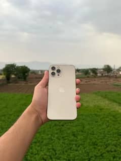 Iphone 12 pro max