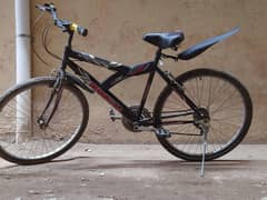 Bicycle Dradon USA. (URGENT SALE!!)