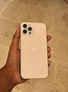 iPhone 12pro