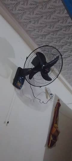 wall fan available